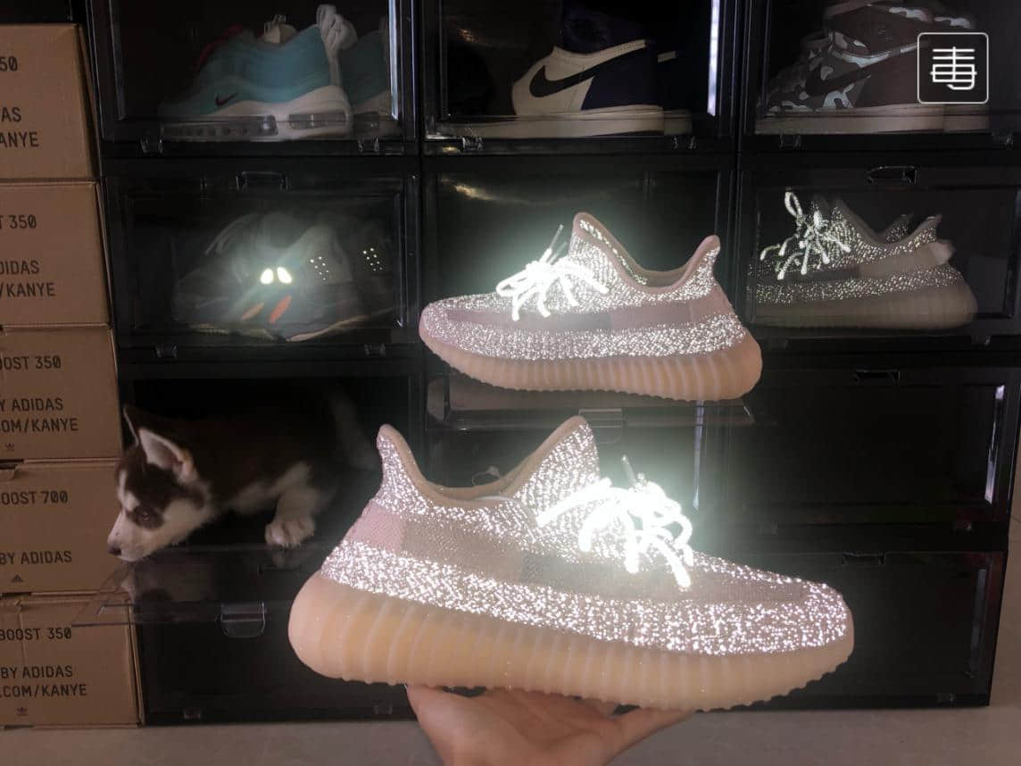 13cba072de7dda1368edcec429098d0