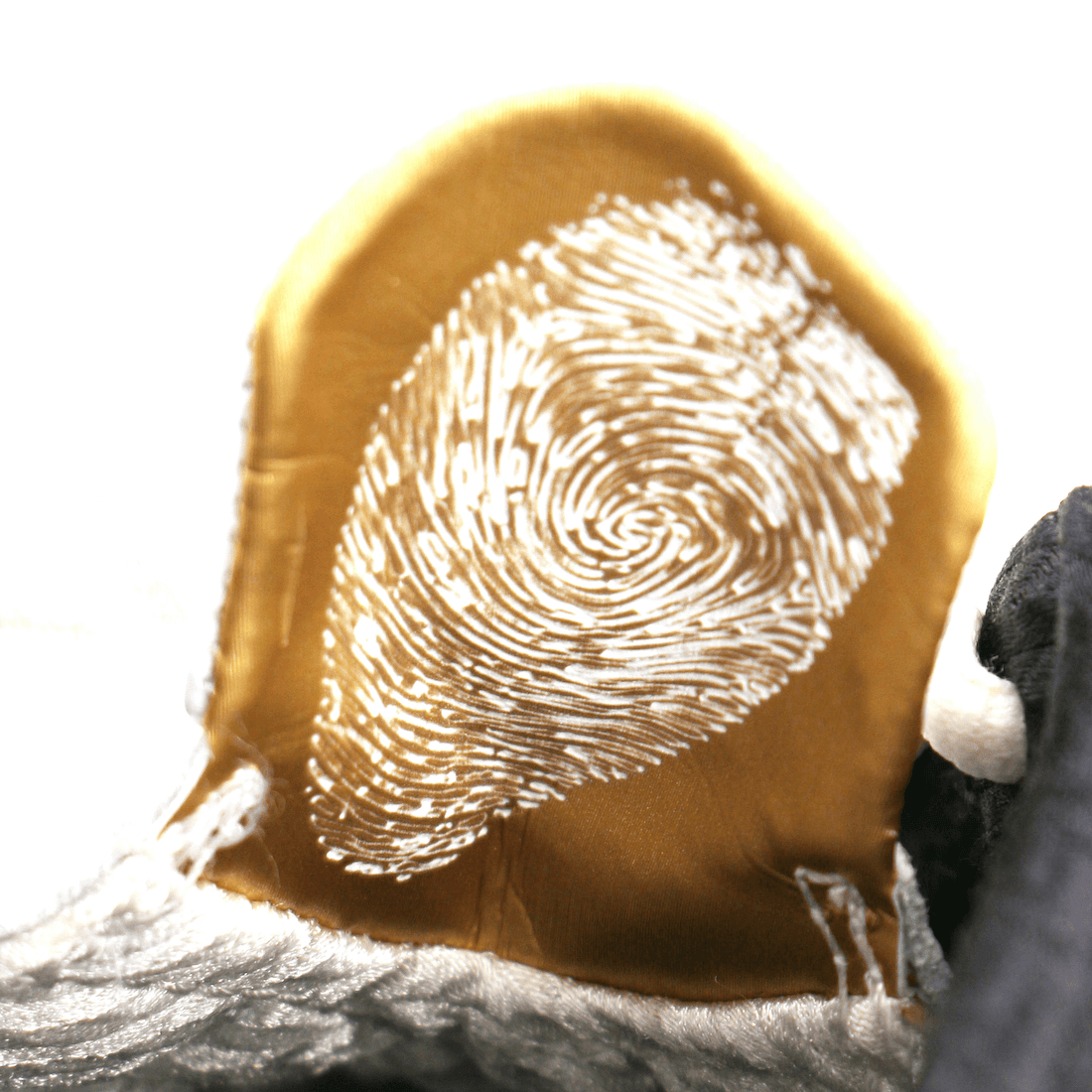 Titan x AJ23最新实物图曝光!奢华感十足! 货号:CZ6222-001